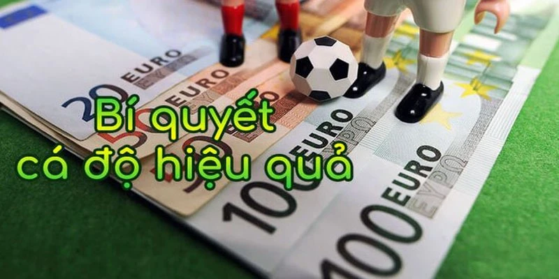 Chia Sẻ Kinh Nghiệm Cá Độ Bóng Đá - 06 Tips Chơi Hiệu Quả 1 Chia sẻ kinh nghiệm bóng đá